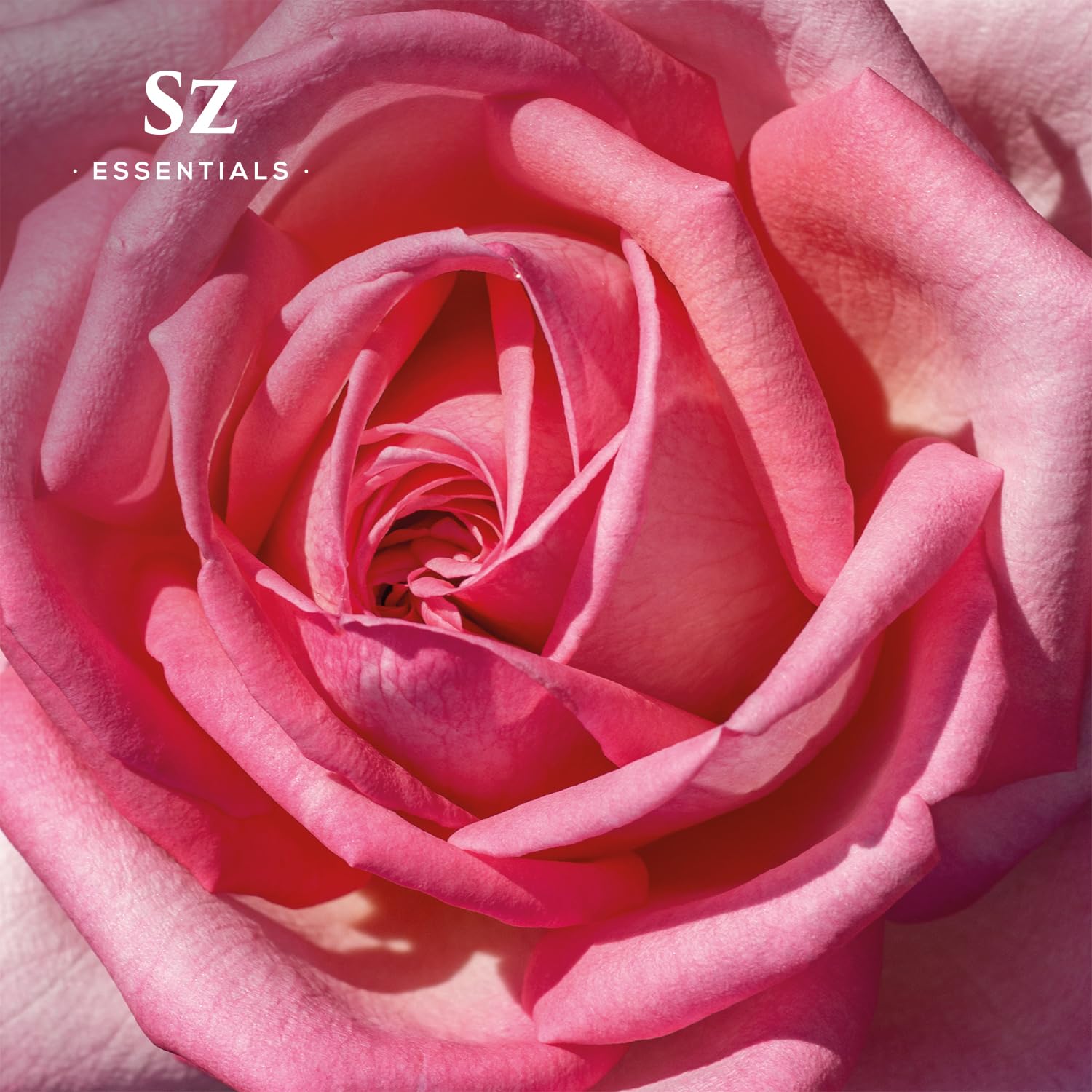 Sz Essentials Rose Absolute – touche florale dans votre routine bien-être