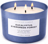 Bougie T et H Eucalyptus Evergreen Forest avec 3 mèches libérant un parfum frais