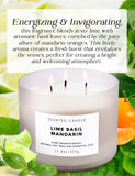 Bougie T&H Lime Basil Mandarin, agrumes frais et herbes, parfaite pour stimuler l'énergie chez soi