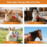 Tacbyz lampe rouge portable, utilisation domestique pratique et mobilité.
