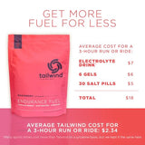 Tailwind Nutrition Endurance Fuel — version caféinée Raspberry Buzz pour énergie soutenue