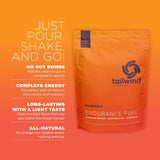 Tailwind Nutrition Endurance Fuel verre – mélange homogène et goût équilibré