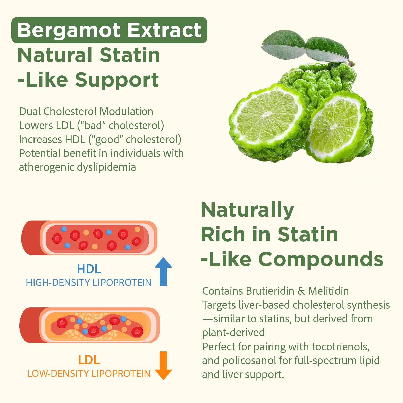 Talyvoriathor composition végane – formule propre et naturelle