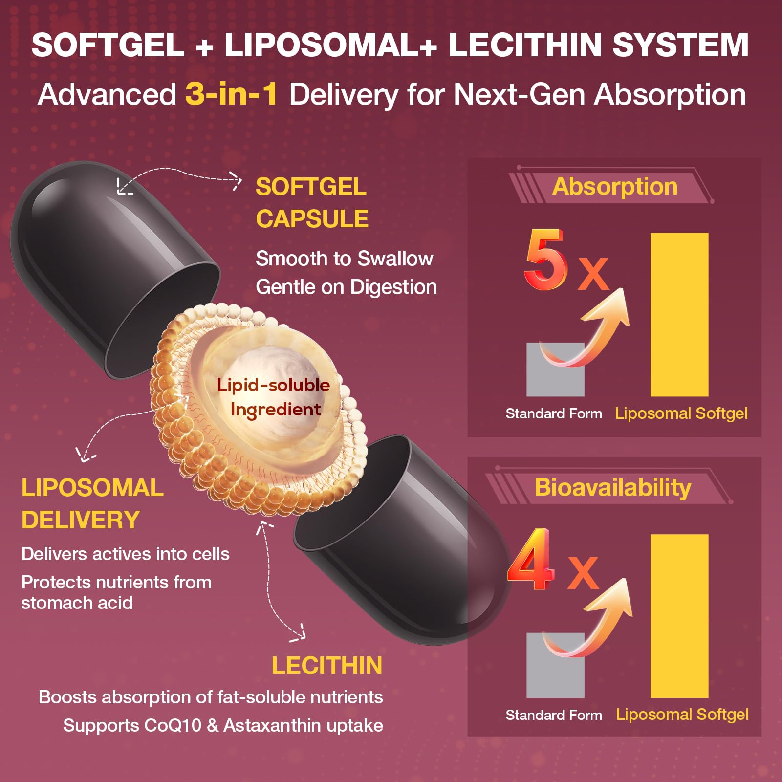 Talyvoriathor gélules liposomales, meilleure absorption des nutriments essentiels.