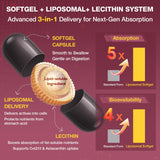 Talyvoriathor gélules liposomales, meilleure absorption des nutriments essentiels.