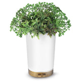 TAOYANG diffuseur huiles essentielles 150 ml: diffusion douce pour une atmosphère relaxante.