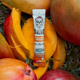 Taste Salud emballage pratique, sachet à emporter facilement