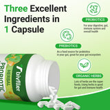 Tbivfller Améliore l’absorption des nutriments et le bien-être intestinal.