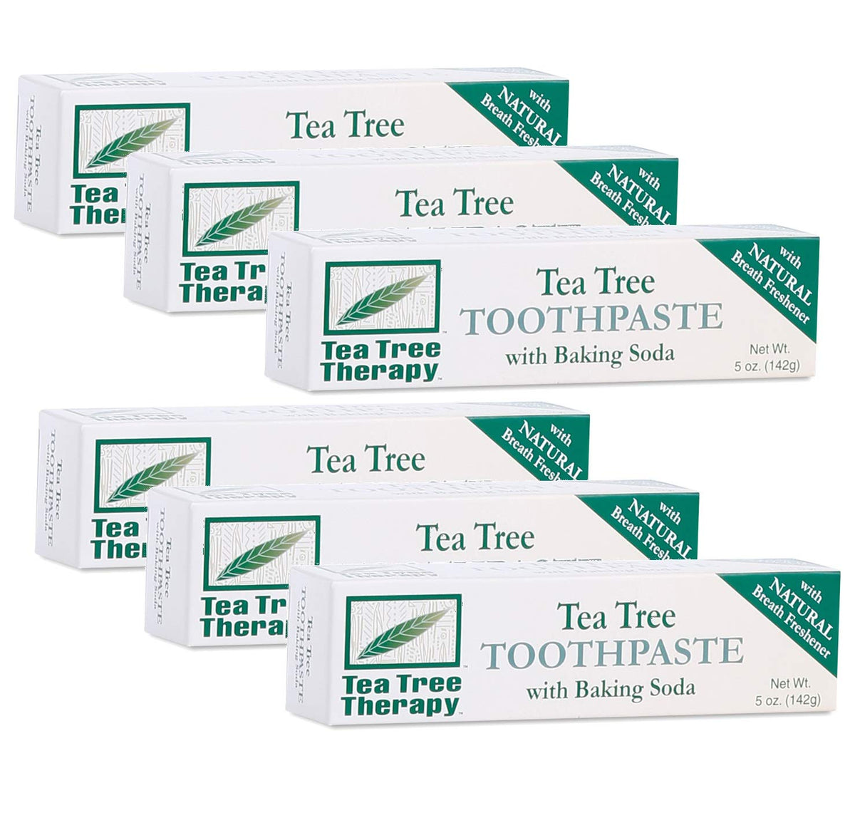 Dentifrice Tea Tree Therapy en tube de 5 oz, lot de 6 tubes prêt pour brossage quotidien