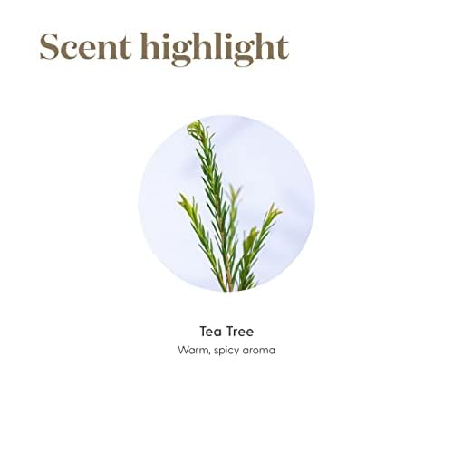 Utilisations DIY Tea Tree pour nettoyants naturels faits maison.