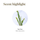 Utilisations DIY Tea Tree pour nettoyants naturels faits maison.