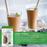 tera's whey chocolat noir prêt à être mélangé dans un shaker