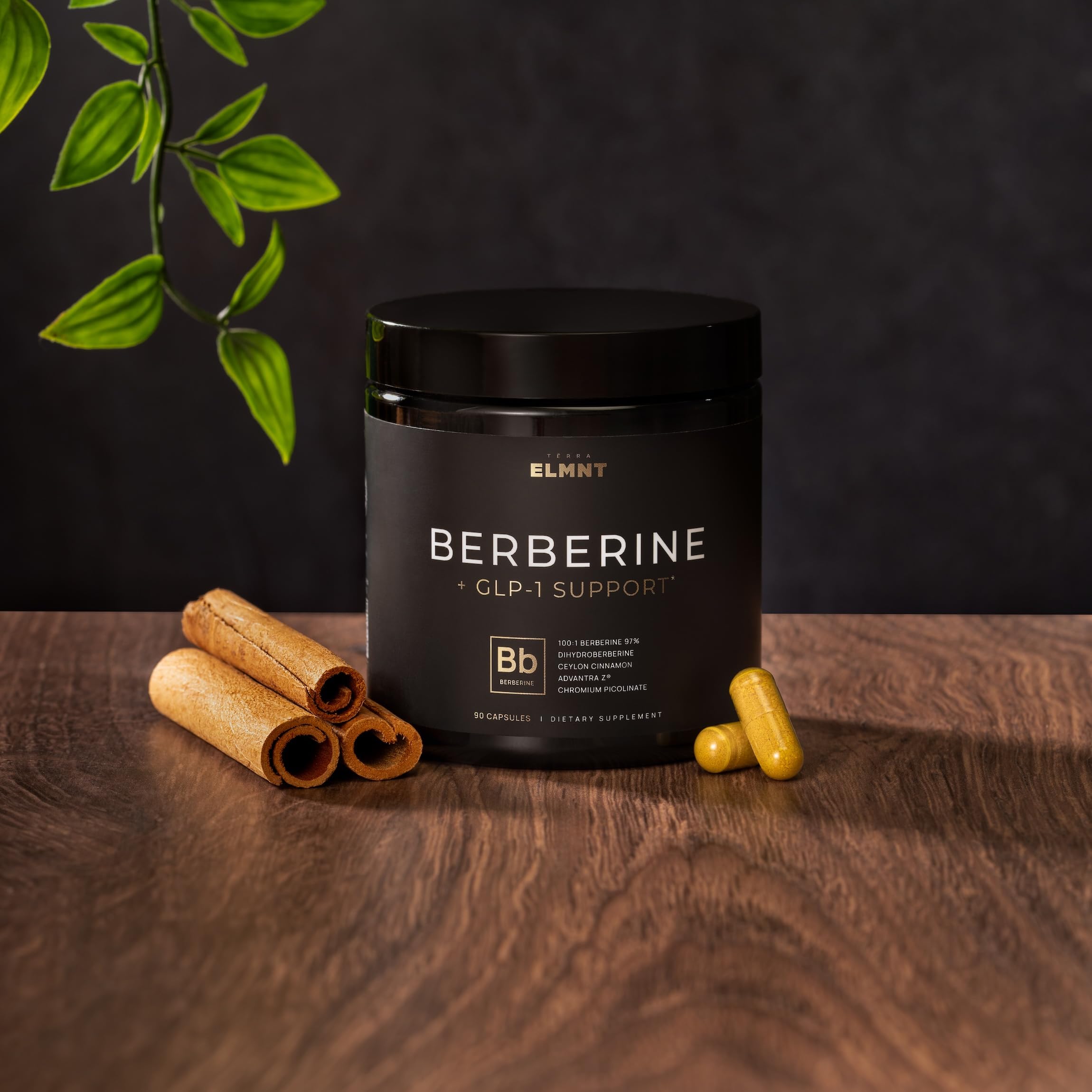 Terra Elmnt Ingrédients Berberine et Dihydroberberine: absorption améliorée et soutien métabolique