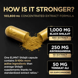 Terra Elmnt Formulation ayurvedique triple-action, énergie et endurance.