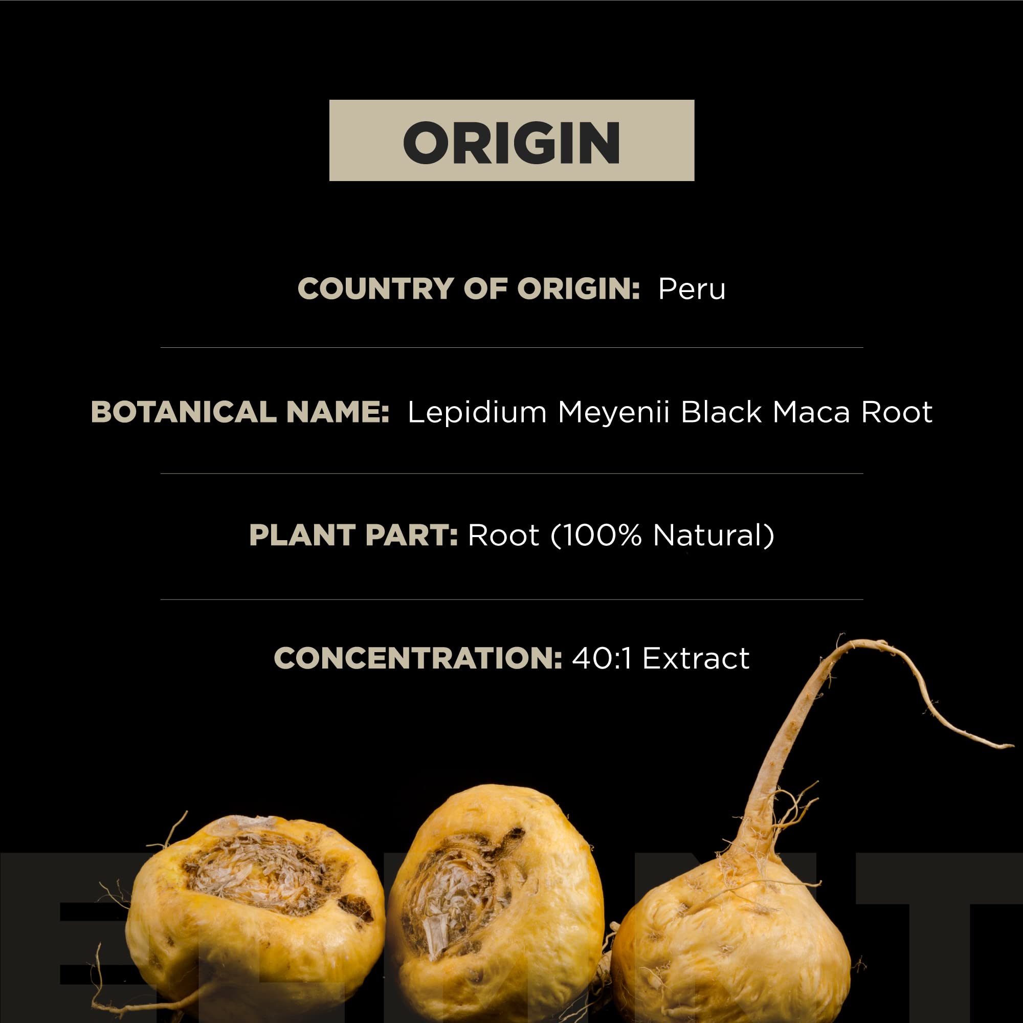 Maca noire du Pérou Terra Elmnt, maca peruana pure et gelatinisée.