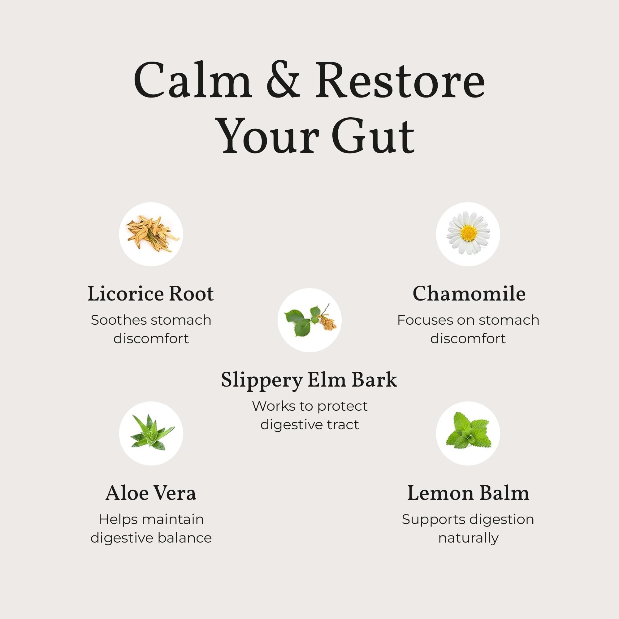 Terra Health Acid Relief: composition herbes apaisantes pour soutenir la digestion.