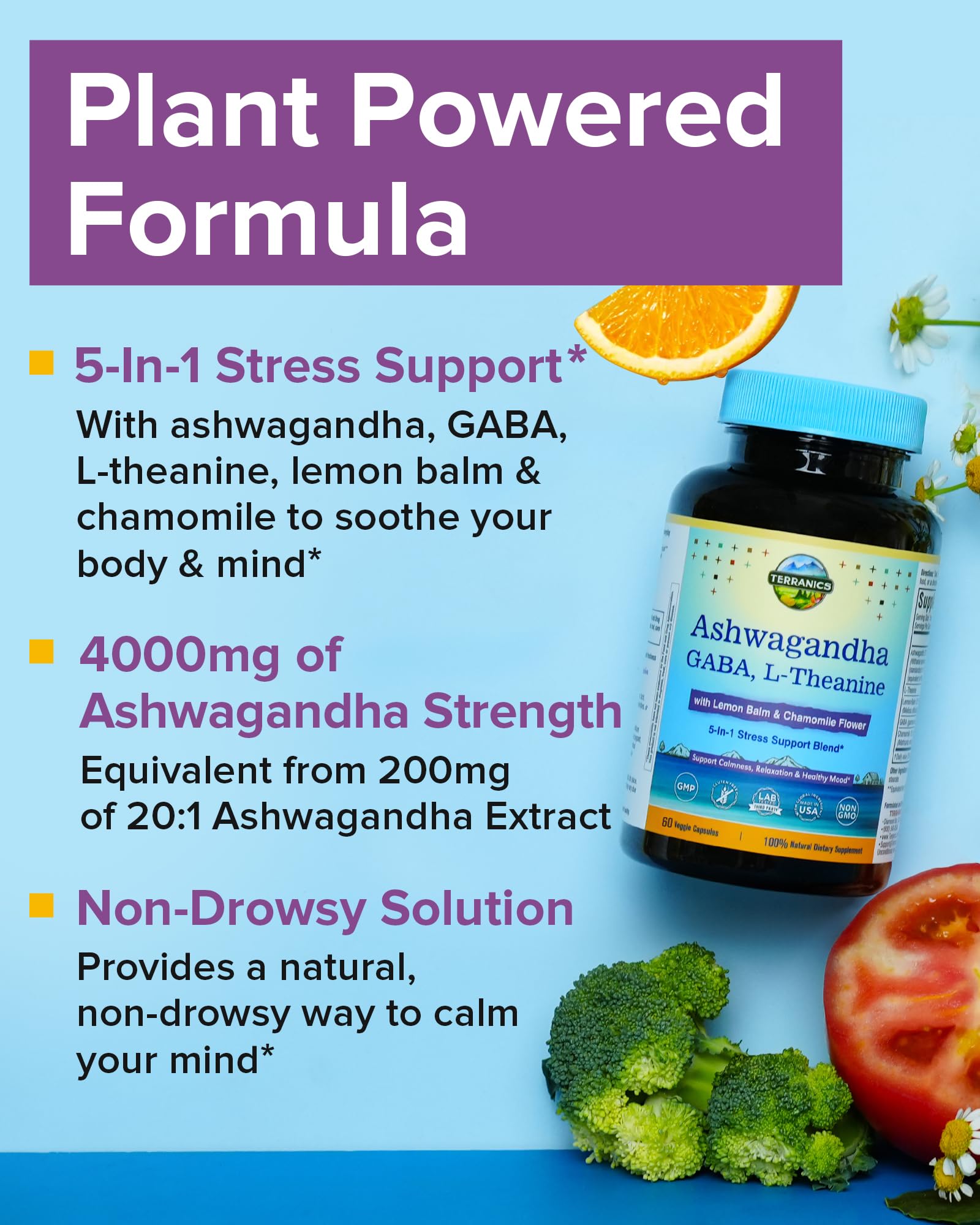 Terranics Ashwagandha L-Theanine, capsules, soutien potentiel à la concentration.
