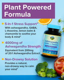 Terranics Ashwagandha L-Theanine, capsules, soutien potentiel à la concentration.