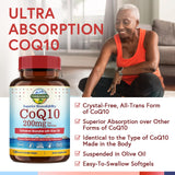 Terranics CoQ10 – Zoom sur huile d'olive, double action antioxydante potentielle.