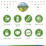 Capsules Terranics Moringa, detail, formule sans OGM et sans gluten.