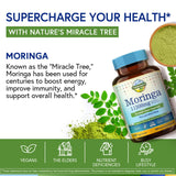 Etiquette Terranics Moringa sur emballage clair, transparence Qualite GMP.