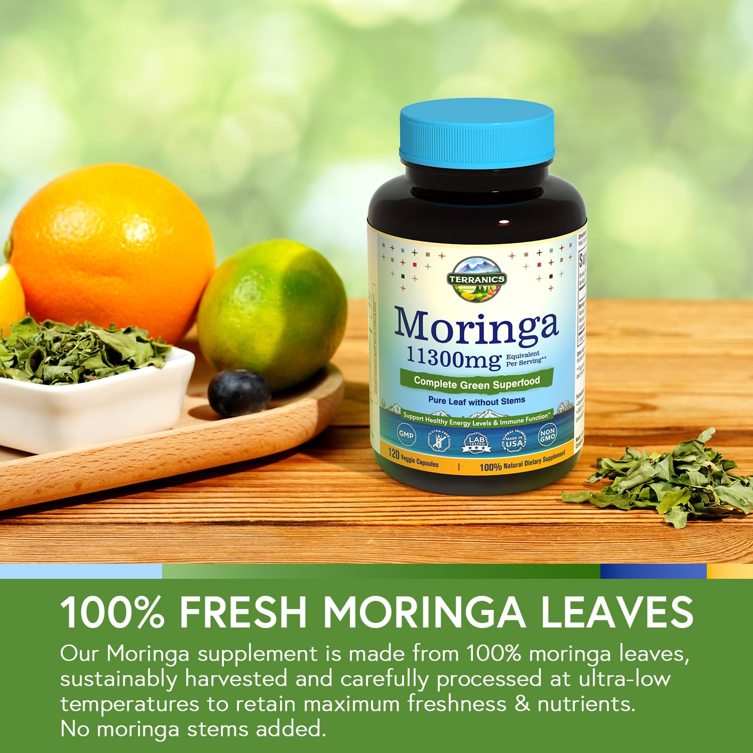 Feuilles vertes de Moringa visibles, source naturelle de nutriments.