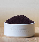 Terrasoul acai poudre yaourt-fruits, parfait pour petits déjeuners nourrissants