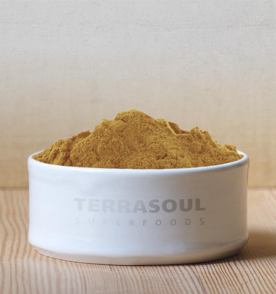 Terrasoul crinière de lion poudre doseur pour infusions et mélanges