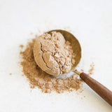 Poudre Terrasoul Maca gelatinisee couleur naturelle dans un shaker