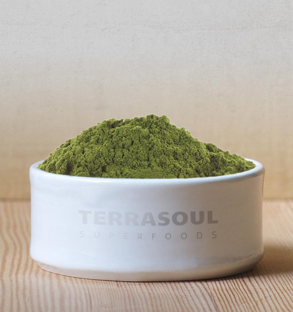 Terrasoul protéine de chanvre biologique, boisson mélangée idéale pour smoothies.