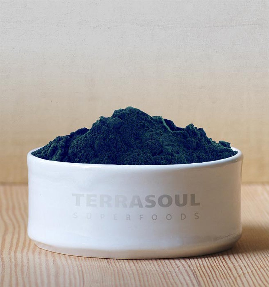 Terrasoul Spiruline en poudre dans un bol smoothie coloré, riche en protéines.