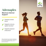 Terry Naturally Adrenaplex - ingrédients clés: DHEA et tyrosine pour un soutien éventuel.