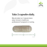 Terry Naturally Adrenaplex – vitamine C et B5 pour l'énergie cellulaire.