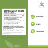 Capsules Terry Naturally Andrographis et Ashwagandha – dosage pratique pour énergie soutenue