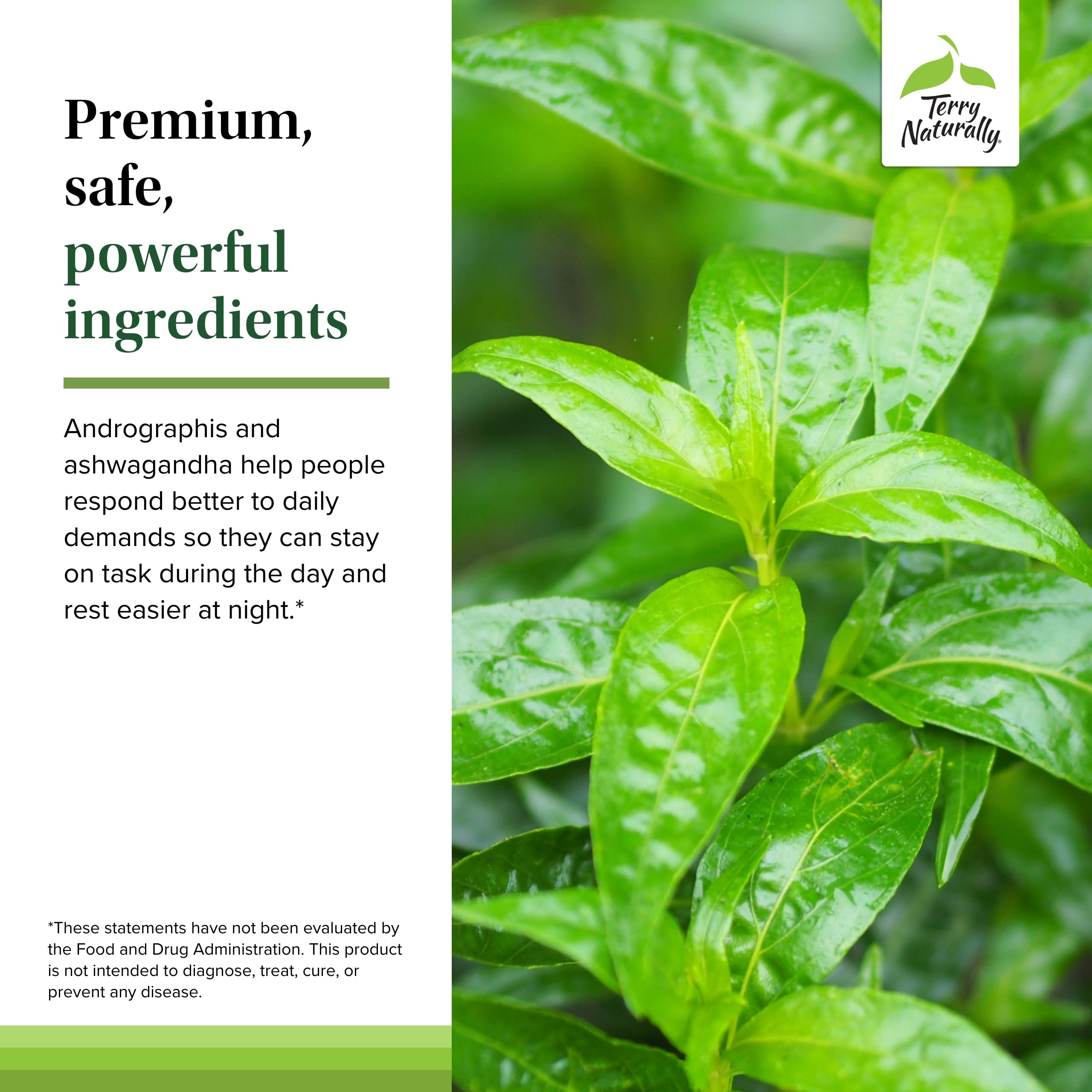 Énergie Terry Naturally Andrographis et Ashwagandha – peut soutenir vos activités quotidiennes