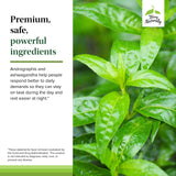 Énergie Terry Naturally Andrographis et Ashwagandha – peut soutenir vos activités quotidiennes