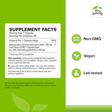 Capsules vegan Andrographis EP80 dans le flacon, format pratique pour soutien quotidien