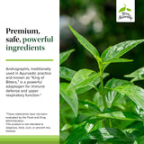 Terry Naturally Andrographis EP80 ingrédients sans sucre ni gluten, choix pur et sûr.