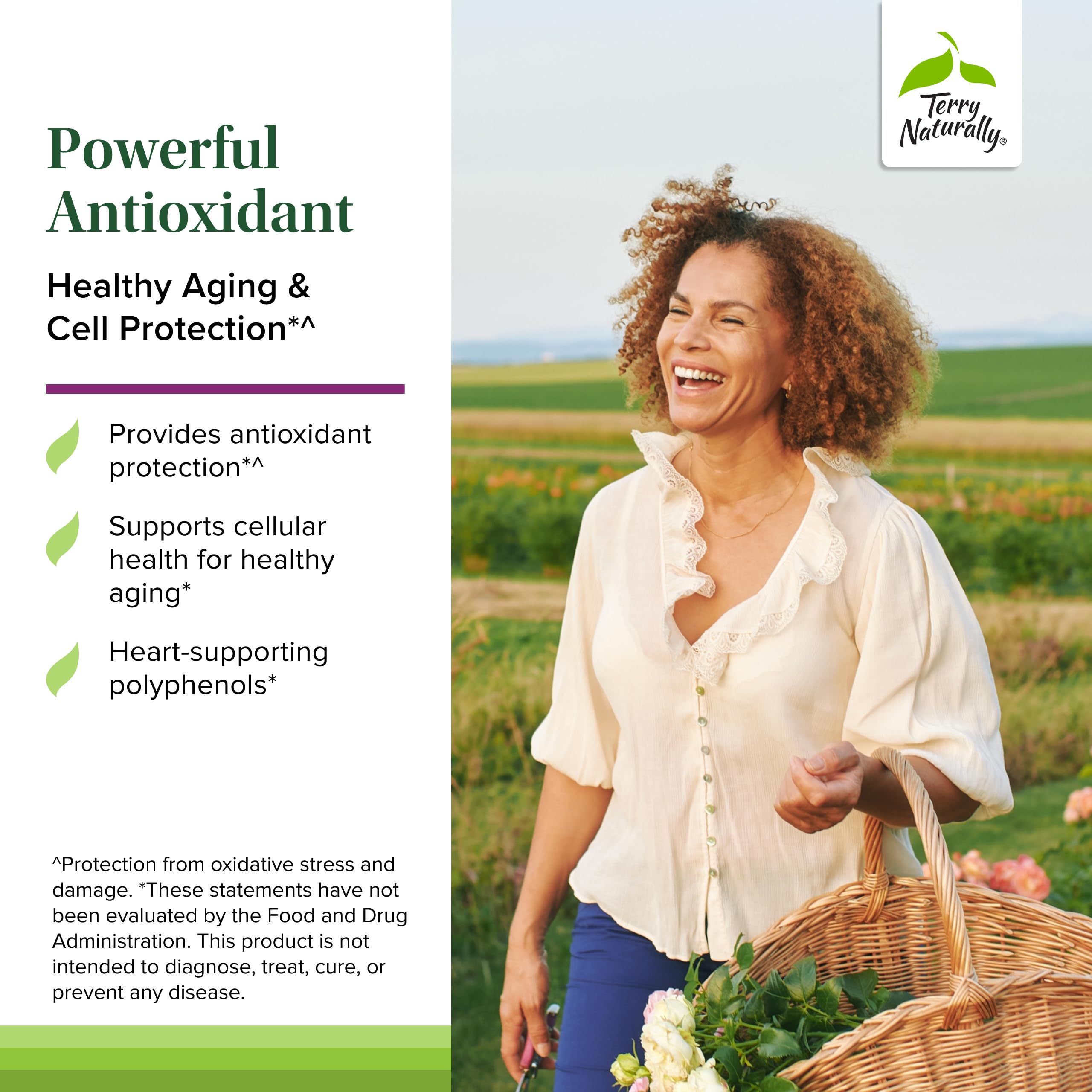 Capsules Terry Naturally Aronia Berry 300 en gros plan, utilisation quotidienne facilitée.