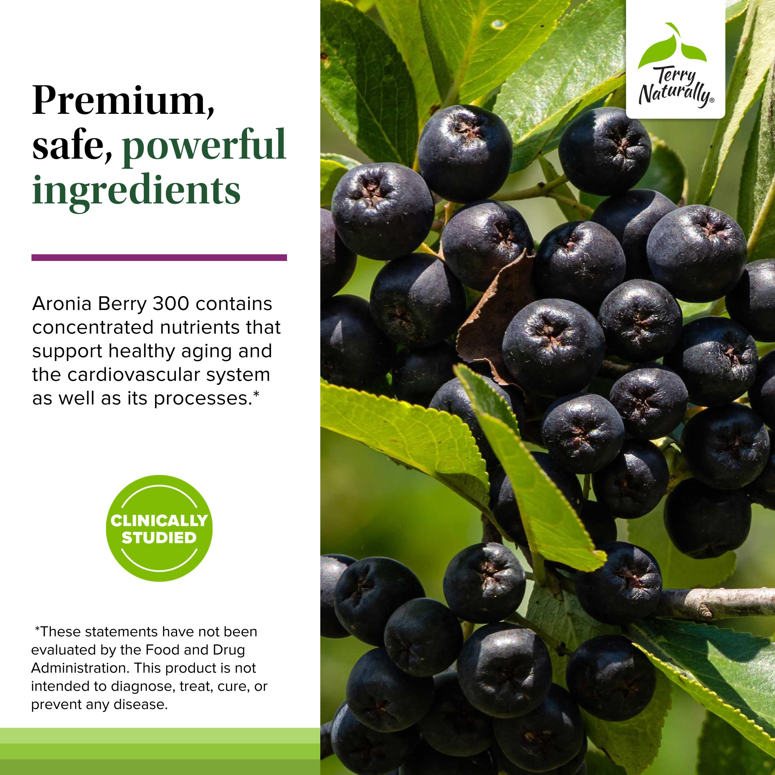 Prise d’une capsule quotidienne Terry Naturally Aronia Berry 300.