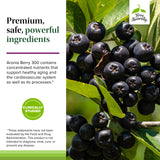 Prise d’une capsule quotidienne Terry Naturally Aronia Berry 300.
