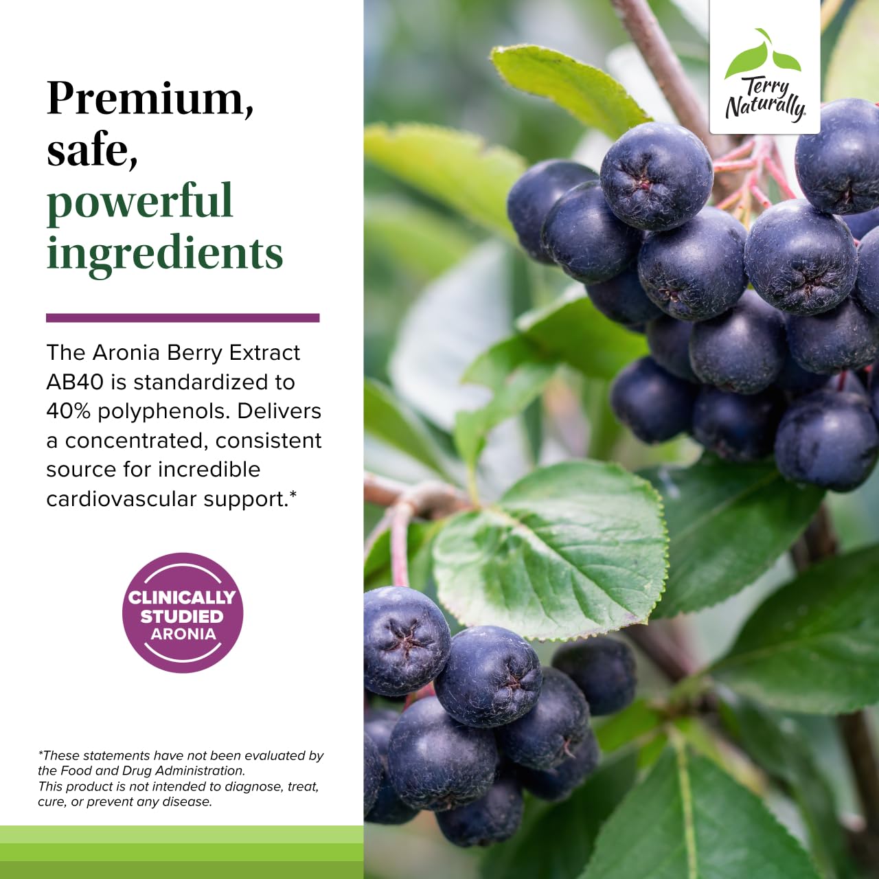 Étiquette claire et emballage informatif du produit Terry Naturally Aronia Berry Complex.
