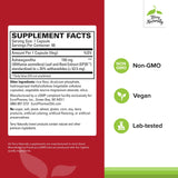 Terry Naturally Ashwagandha EP35 – capsules, énergie durable et concentration accrue.
