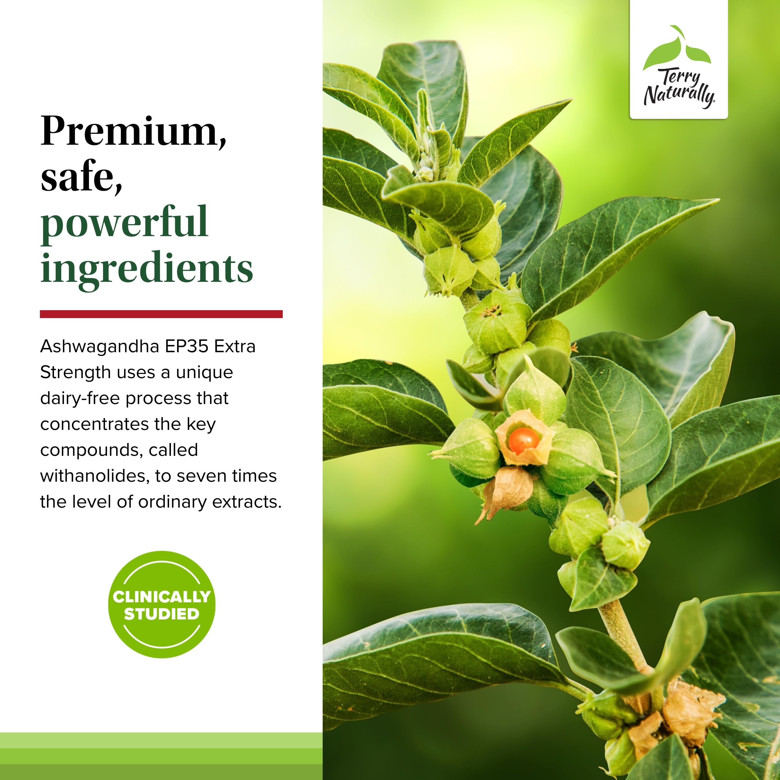 Terry Naturally Ashwagandha EP35 – composition naturelle pour endurance et énergie.
