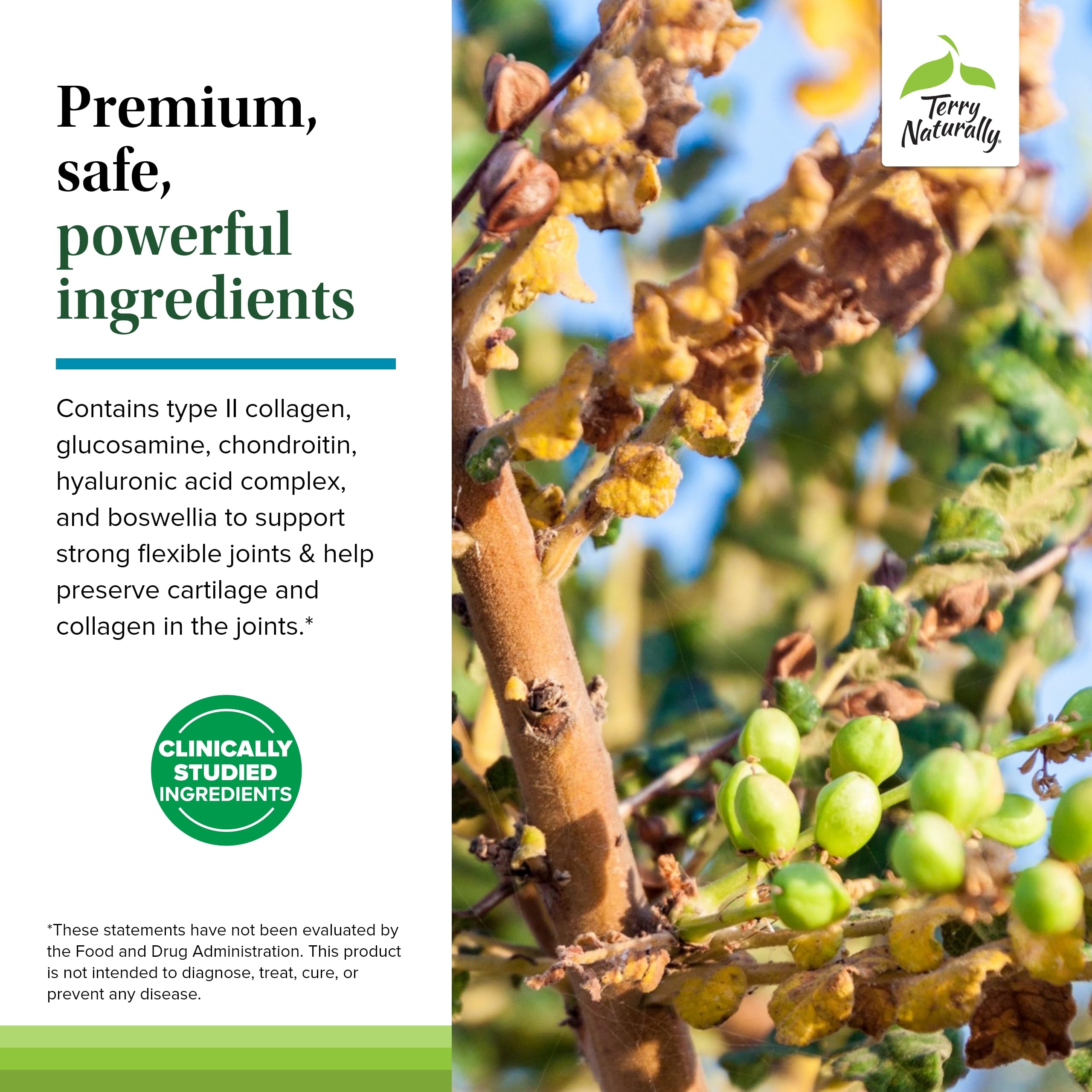 Terry Naturally Be Mobile – flacon et acide hyaluronique pour le confort articulaire