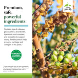 Terry Naturally Be Mobile – flacon et acide hyaluronique pour le confort articulaire