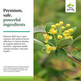 Gélules Terry Naturally Berberine faciles à avaler pour la prise quotidienne.