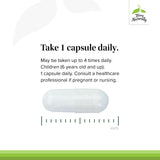 Terry Naturally BioActive Magnesium Complex — Tableau des ingrédients avec B6 et zinc