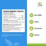 Capsules végan Terry Naturally BioActive Magnésium Complexe, faciles à avaler et quotidiennes.