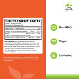 Terry Naturally BioActive Vitamine B — capsules faciles à prendre au quotidien